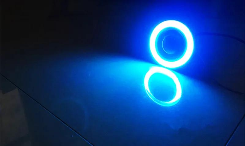 4491582056_805705998_