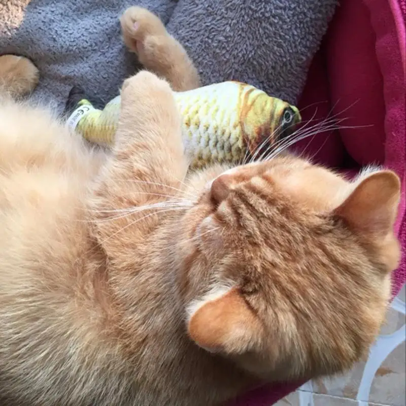 Pet Cat Kitten Chewing Cat Toys Stuffed Fish Mint Pet Interactive Cat Gift 3D Realistic Plush Fish