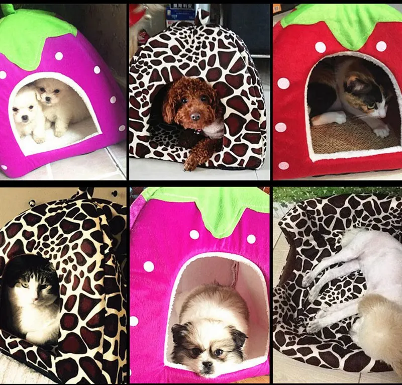 cat house (10)