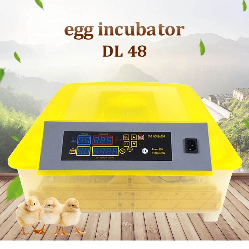 Full Automatic Turning Mini 48 Poultry Egg Incubator For Chicken Duck Quail