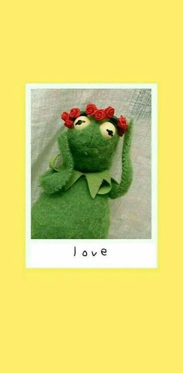 Coque De Telephone Portable Noire Ruicaica Kermit Frog Nouvellement Arrivee Pour Apple Iphone 8 7 6 6 S Plus X Xs Max 5 5 S Se Xr Etuis Mobiles Aliexpress