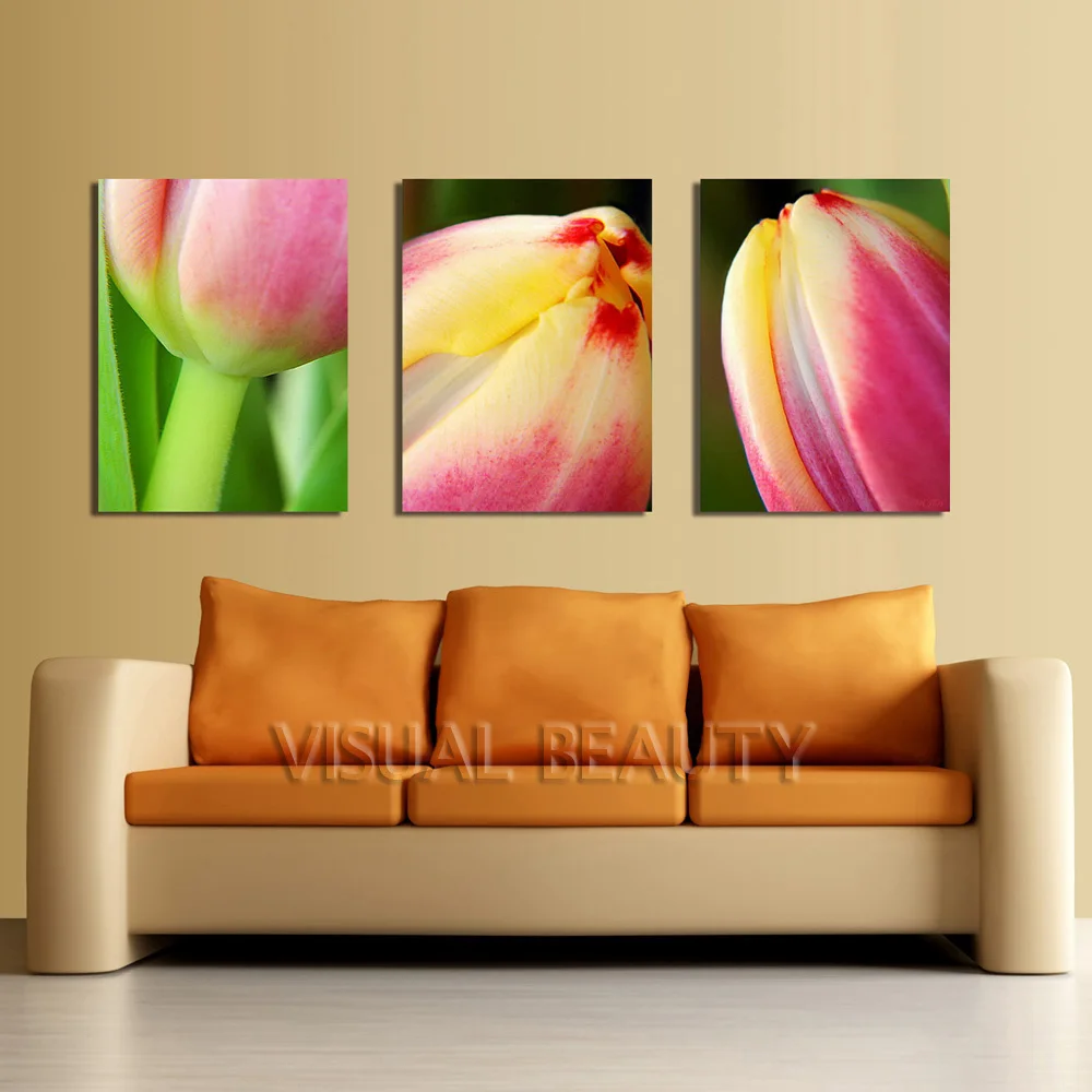 

FREE SHIPPING Beautiful Flowers Paintings for Living Room Wall Canvas Painting(Unframed)45x60cmx3pcs
