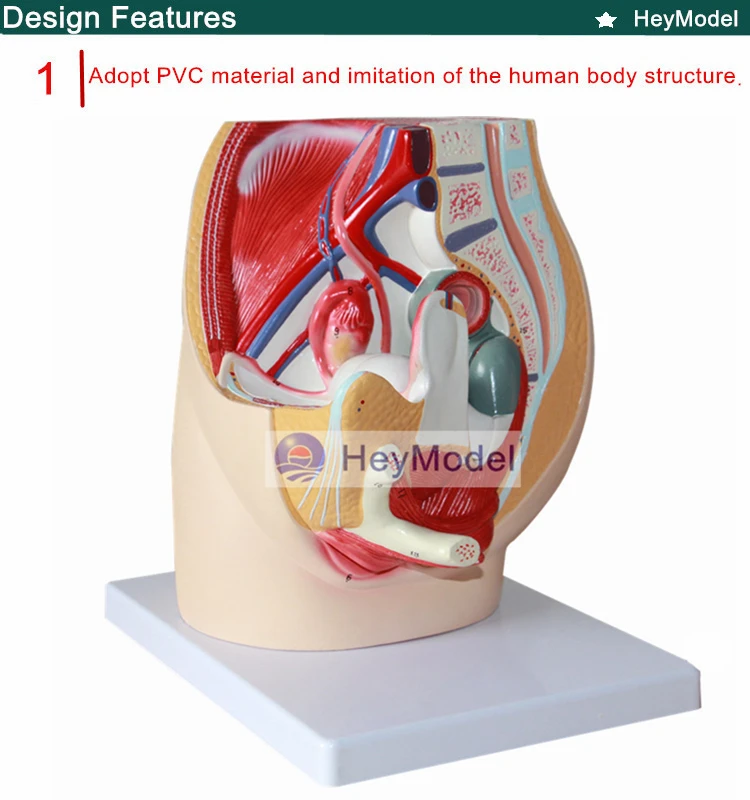 1.PVC_
