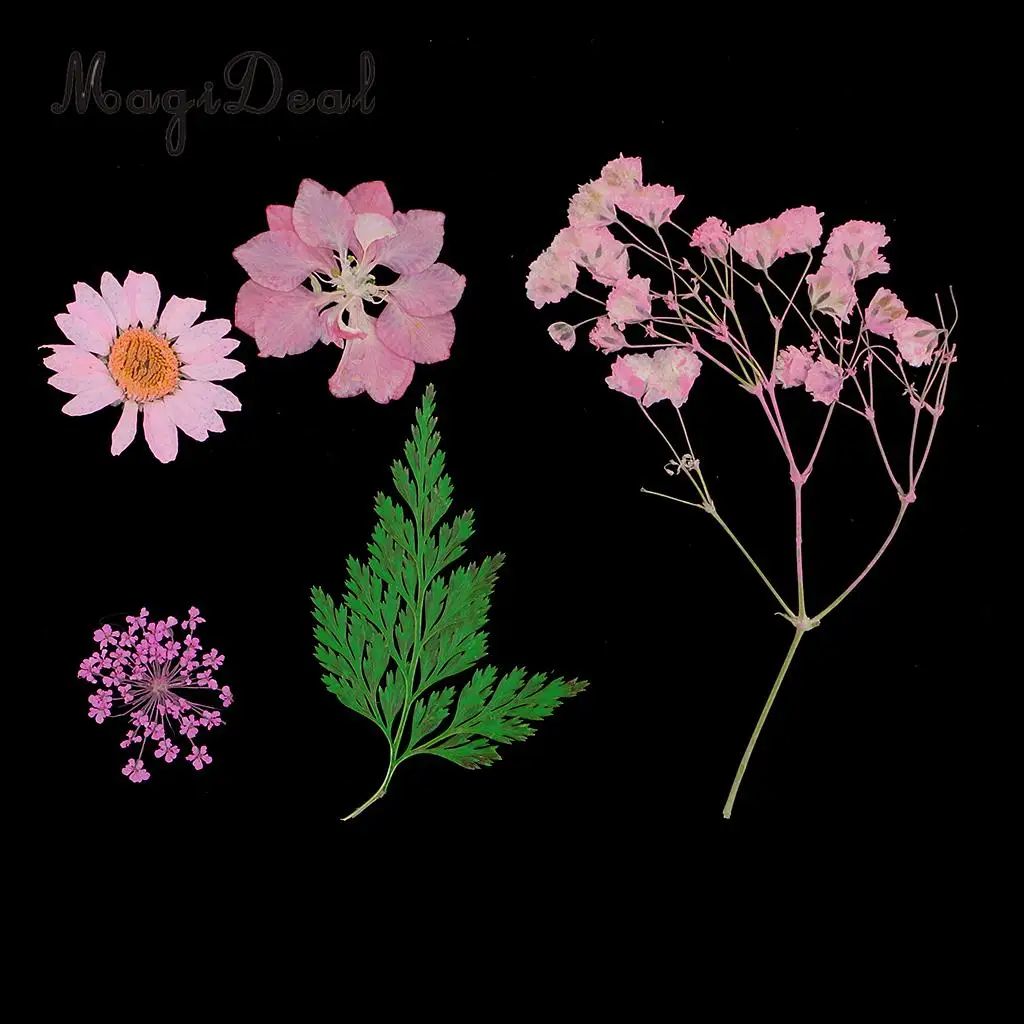 Beautiful Multiple Real Pressed Leaves Natural Dried Flowers for Art Craft Scrapbooking Card Making  Resin Jewelry Craft DIY