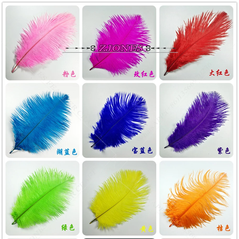 Buy Wholesale 20 100PCS Multi Color Natural Ostrich