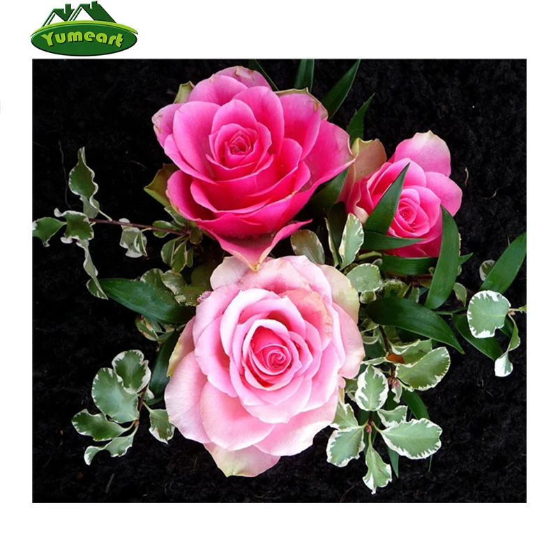 Алмазная живопись сделай сам вышивка крестиком цветок роза кристалл полный