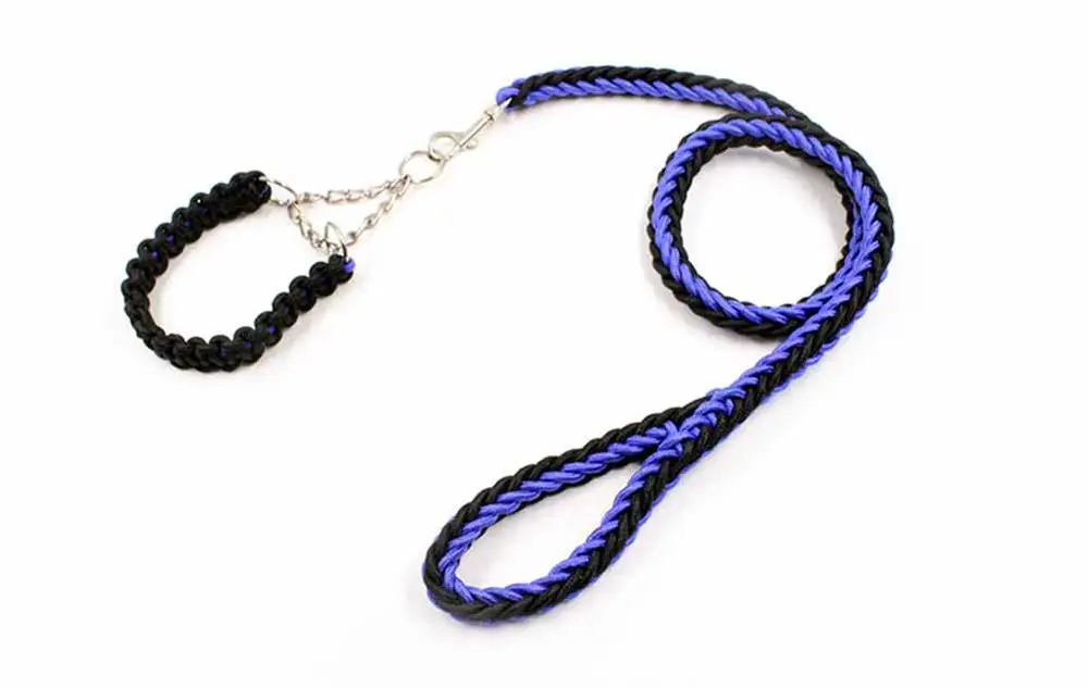 8 Collars, Harnesses & Leads