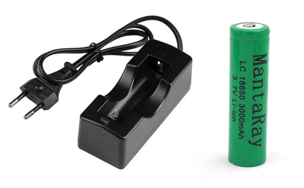 18650 + charger