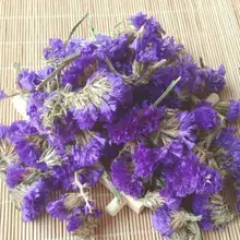 Лиловая морская Лаванда миозотис сильватика