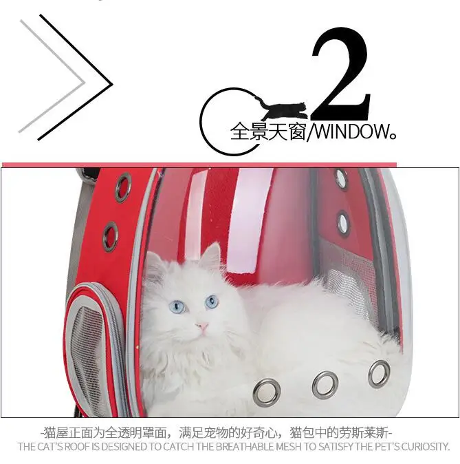 QQ20181130160011