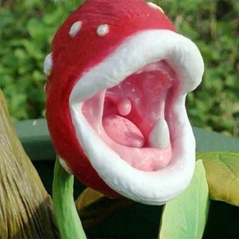 50pcs Carnivorous Plant Garden Flower Seedsplant Outdoor Seeds Plants