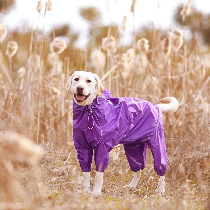 labrador waterproof clothes