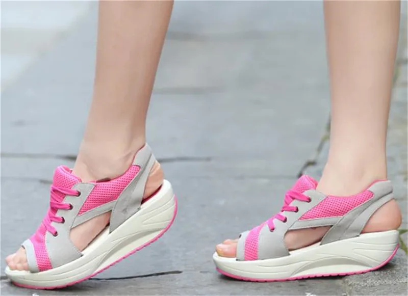 36020180517095645466