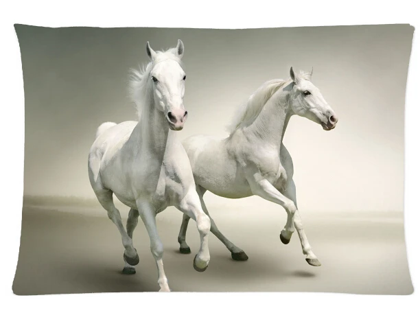 две лошади. пара лошадей. красивая белая лошадь. две белые лошади. две белые лошади.