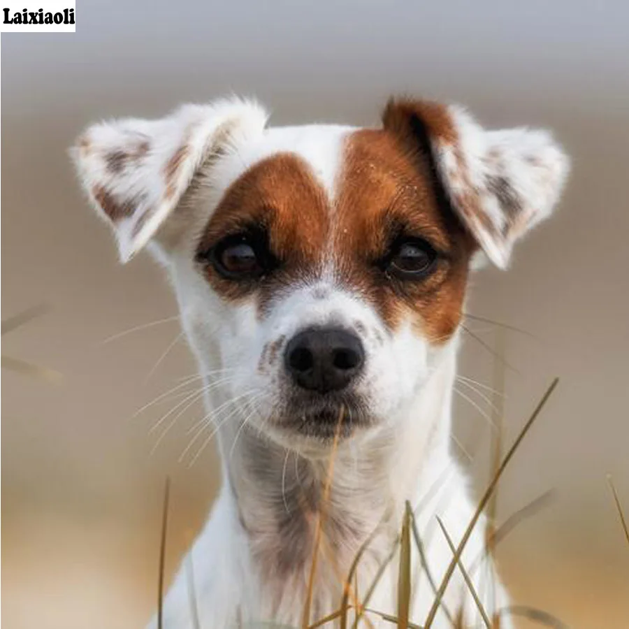 

5d Diy Diamond Paintings Jack Russell Terrier Dog wall painting 3d Diamond embroidery Picture Needlework Religious Mosaic decor