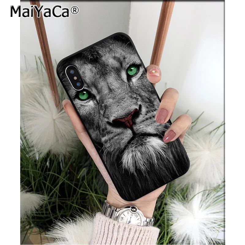 Cool Animal Lion