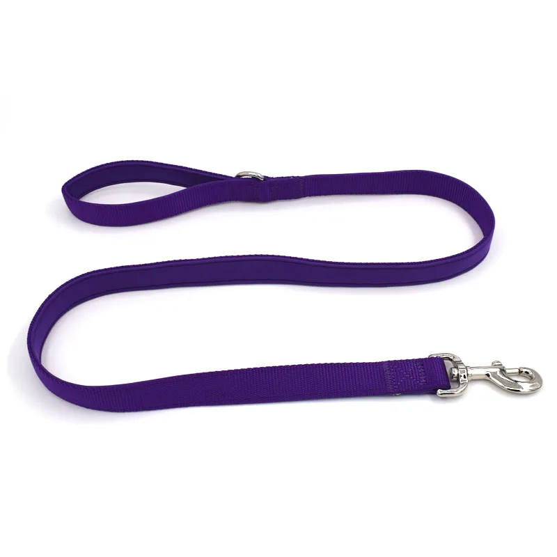 05 dog leash training 