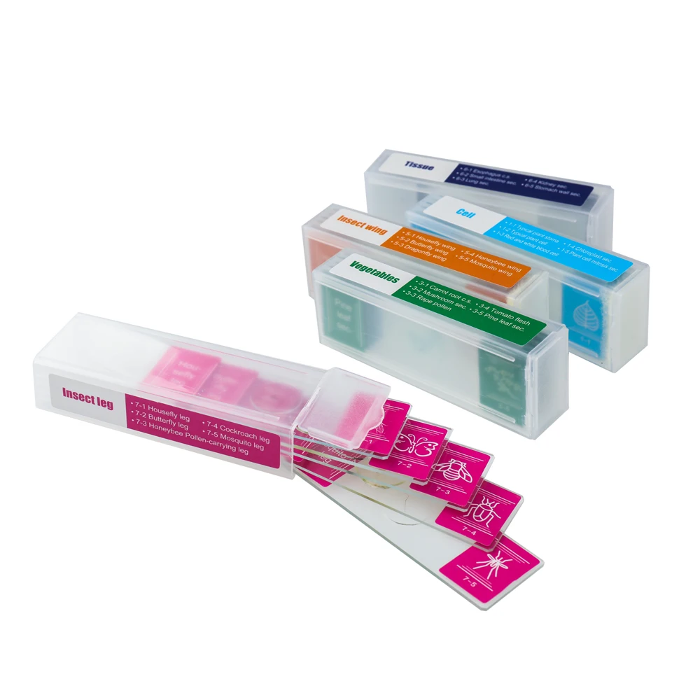 35Pcs Microscope Specimens Biological Specimen Slides Primary and Secondary Gifts Specimen For