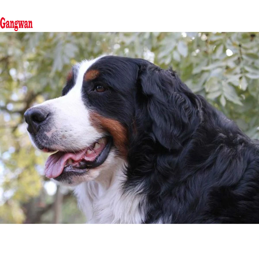 Bernese Mountain Dog Diamond painting Puppy crystal beads 5d embroidery cross stitch kits handwork animal mosaic new arrival decor