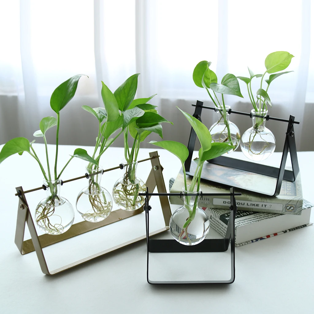 

3Styles Ball Shape Glass Flower Vase Hydroponic Bottle Terrarium With Iron Stand NEW