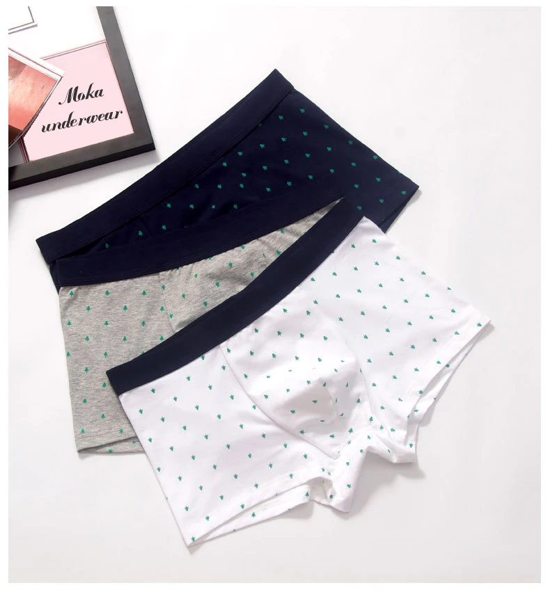 Cause Boxer Cotton Brands Underwear Men Panties Homme Boxer Shorts 4XL Male Breathable Calzoncillos Underpants Boxer Mens Trunks04