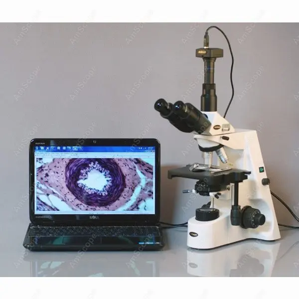 Фазовый Контраст AmScope поставки 40X 1500X Профессиональный бесконечный план фазовый