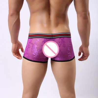 Fashion Men's Lace Transparent Underwear Nylon Comfortable Men Leisure Boxer Shorts Sexy Convex U Pouch Boxer Homme Underpants - Цвет: purple