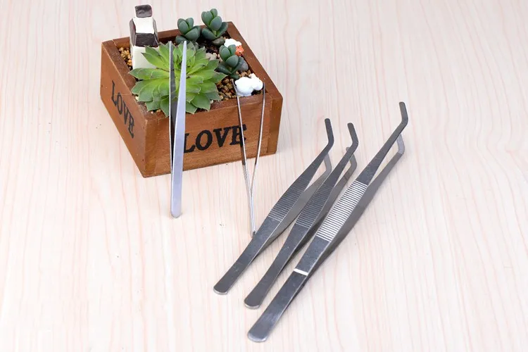 2159119282_394298364