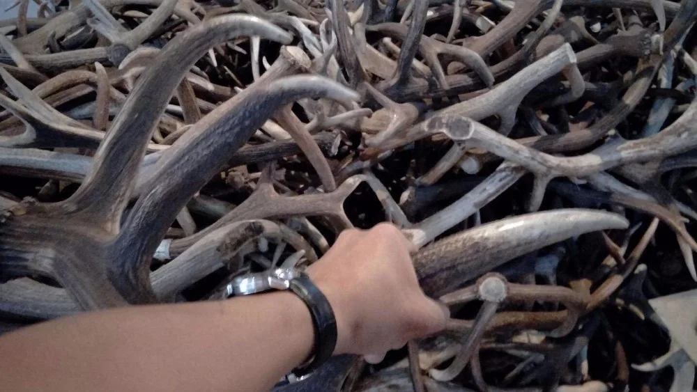 O1CN01ACiJXS1G56FkZU5XM_!!784150570