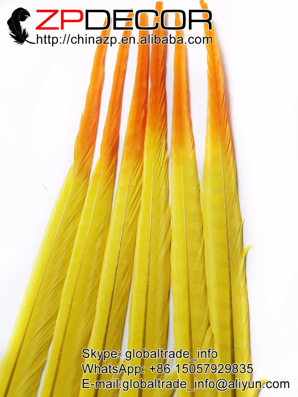 Orange&Yellow Ringneck Pheasant Tail Feather (5)