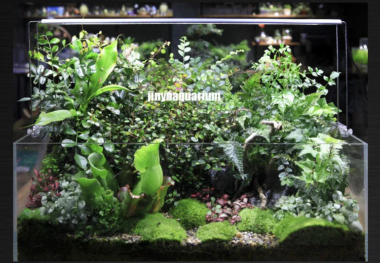 Chihiros водяная Светодиодная лампа для роста растений Chihiros A plus серия Commander 1 sunrise sunset таймер водяное растение для аквариума