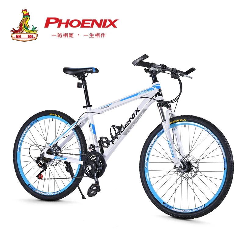 Phoenix 24\