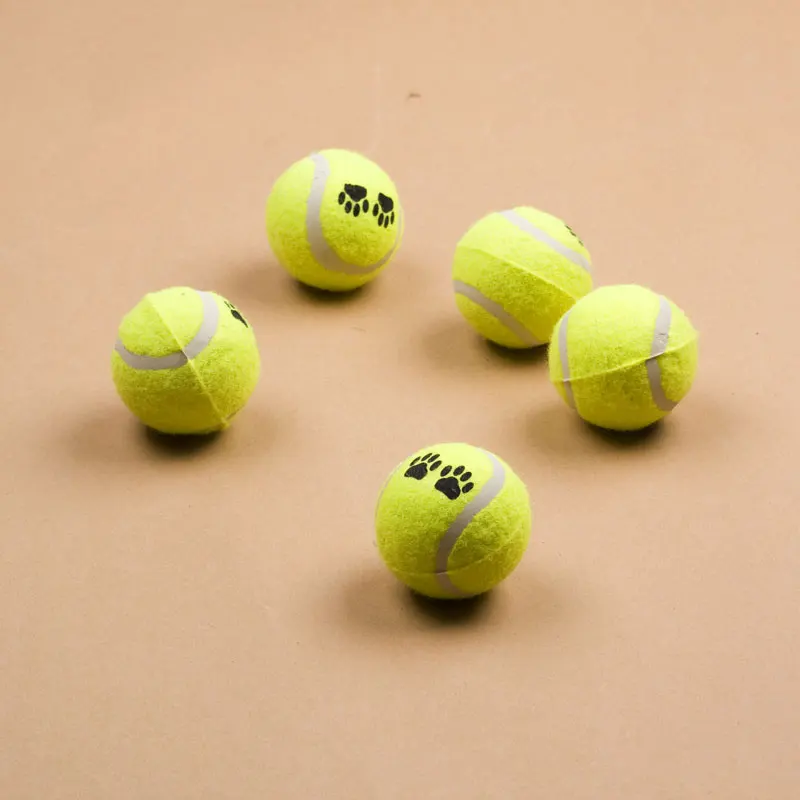 1 dog ball