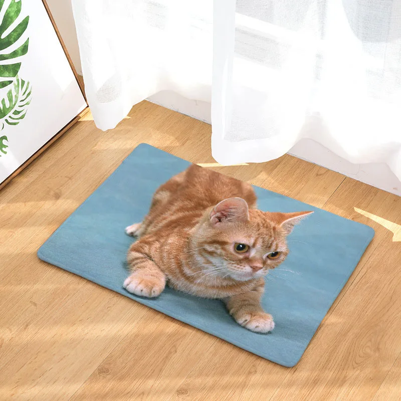 Животное Коричневый персидский кот фото короткошерстная живопись доска лист Открытый коврики крыльцо ковры украсить дом потепление