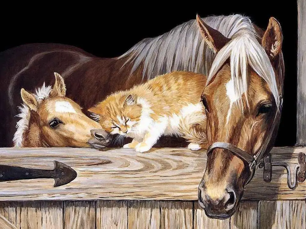 DIY масляной Набор для рисования по номерам для взрослых современный холст без рамы картины для гостиной краски по номерам животное лошадь P-0636 - Цвет: horses
