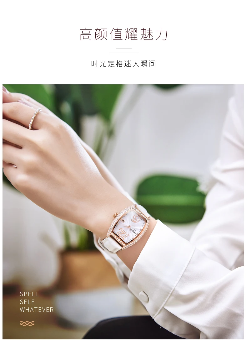 2019Carnival switzerland automatic mechanical watch women luxury brand leather strap women watches rhinestione clock reloj saati