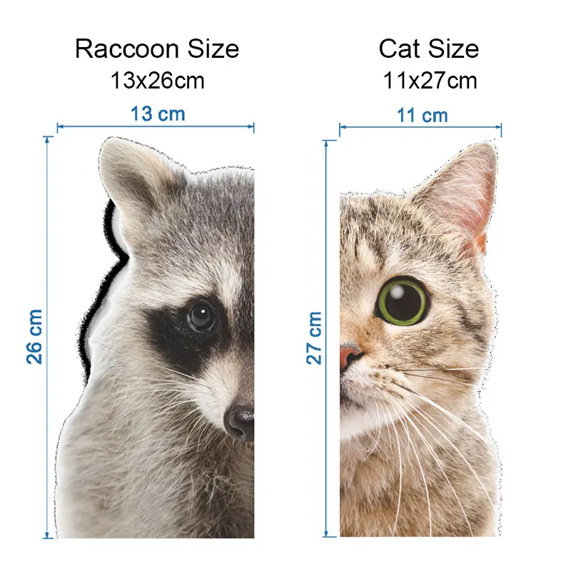 size
