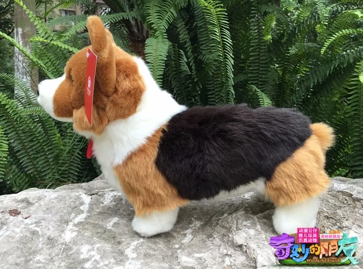 TB2CnX4rVXXXXapXpXXXXXXXXXX_!!407789034