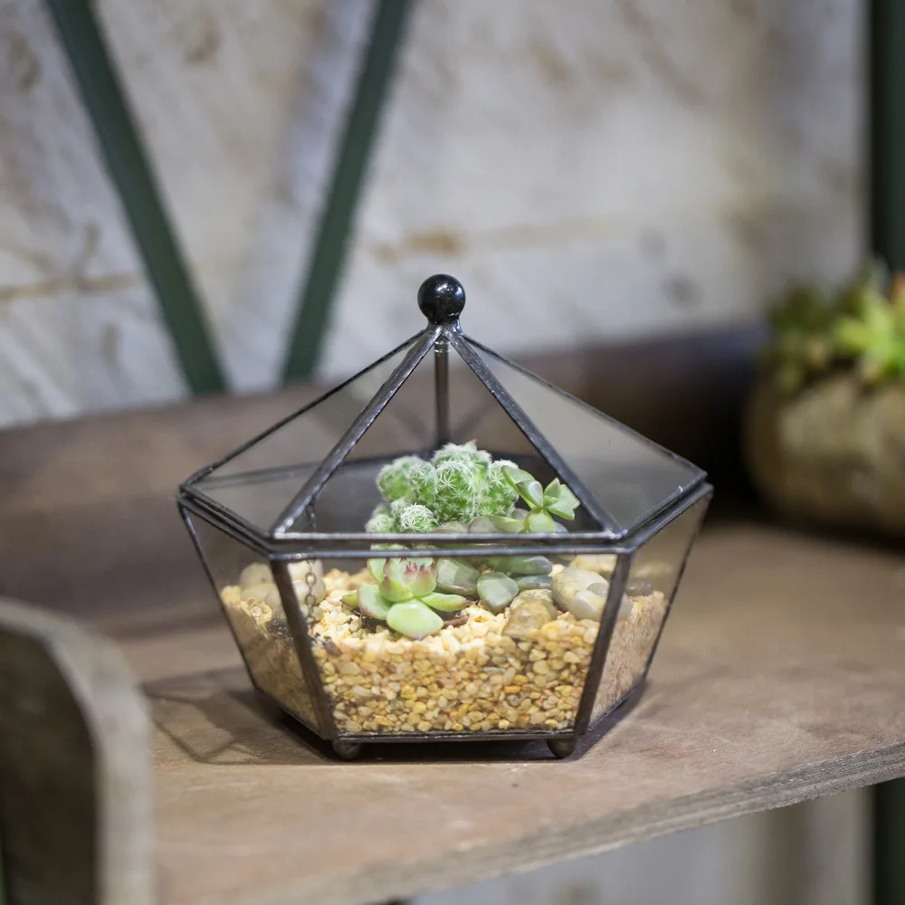 Geometric Glass Jewelry Box Tabletop Terrarium Plant Succulent Planter Box 