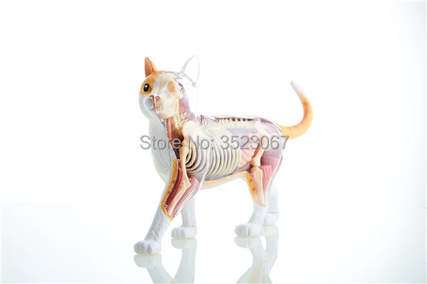 TB21T6Pw_dYBeNkSmLyXXXfnVXa_!!1700469845