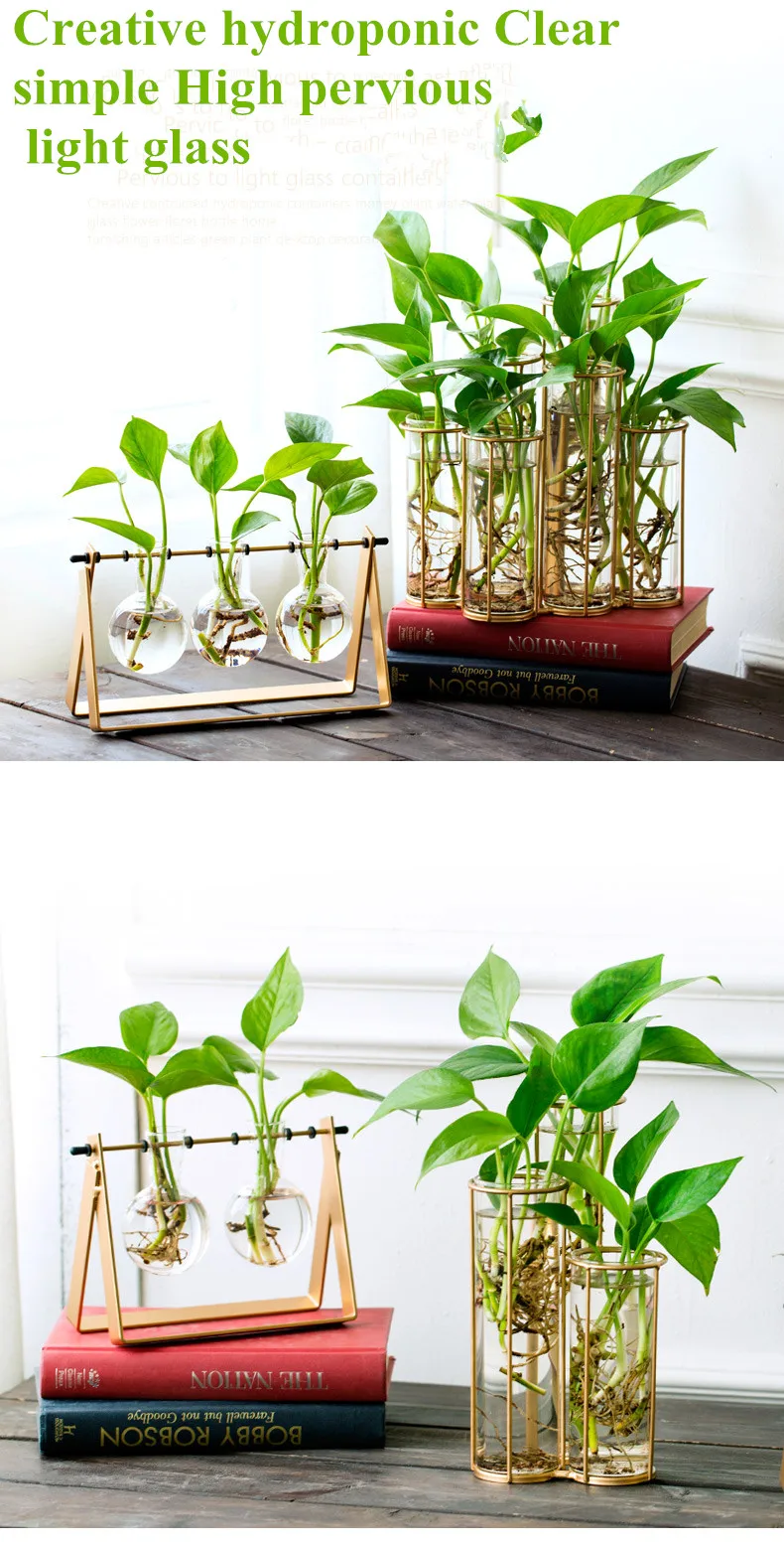 garrafa para planta de flor diy decoração