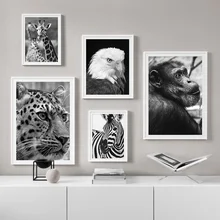 Tiger Leopard Zebra Eagle Nordic Posters And Prints Animal Wall Art Canvas Painting Wall Pictures For Living Room Home Decor