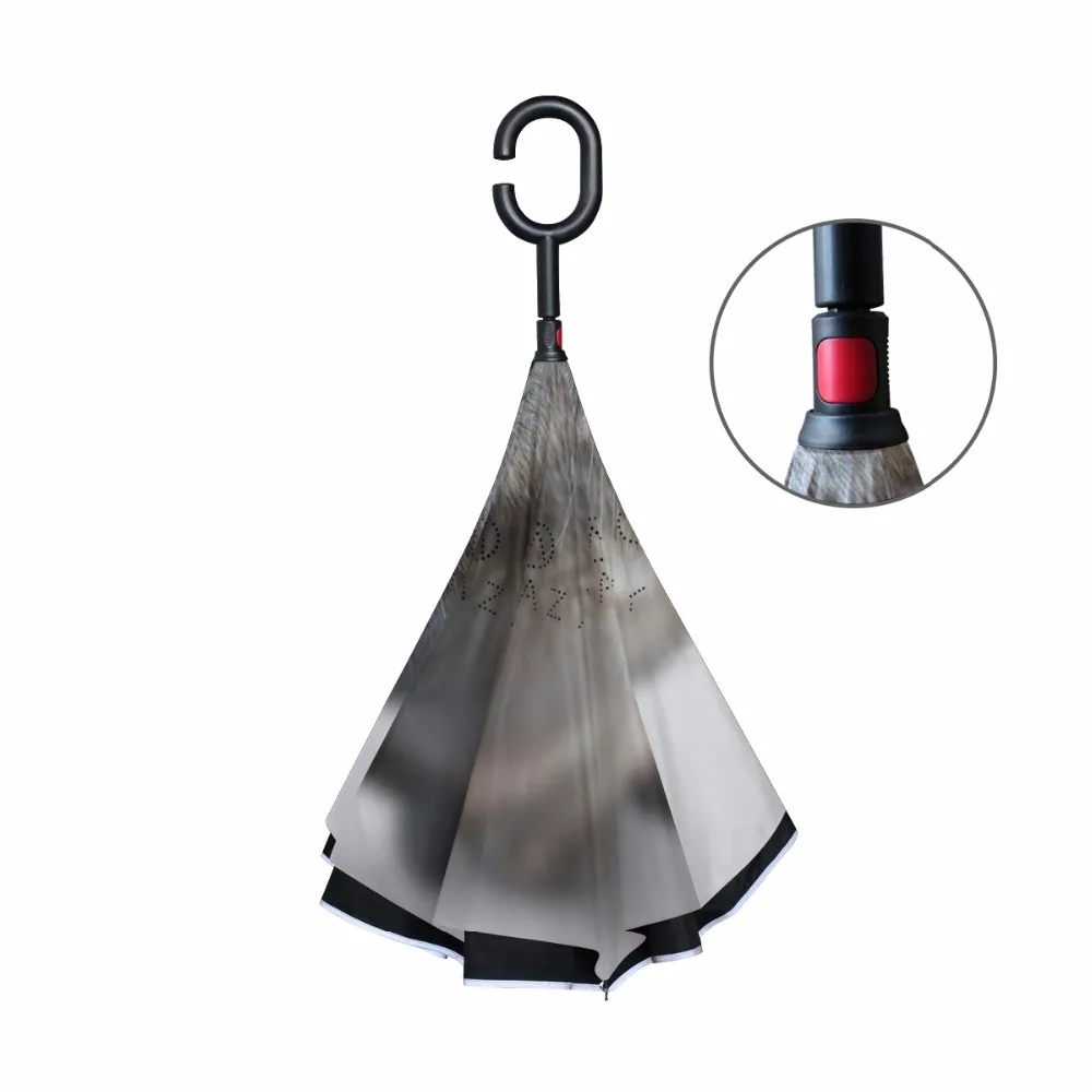 g2039242p183c217s313_2