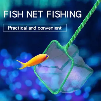 

Fish net fishing