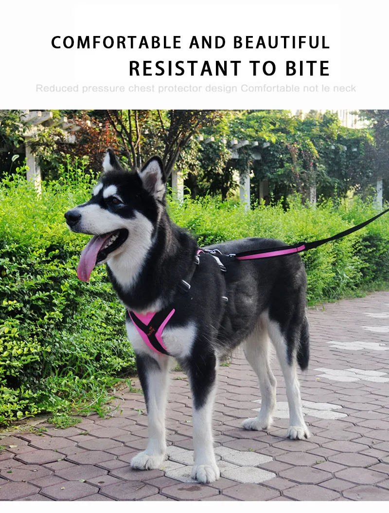 Новая модная нейлоновая жилетка для собак с креативным принтом Профессиональная удобная скатерть для собак