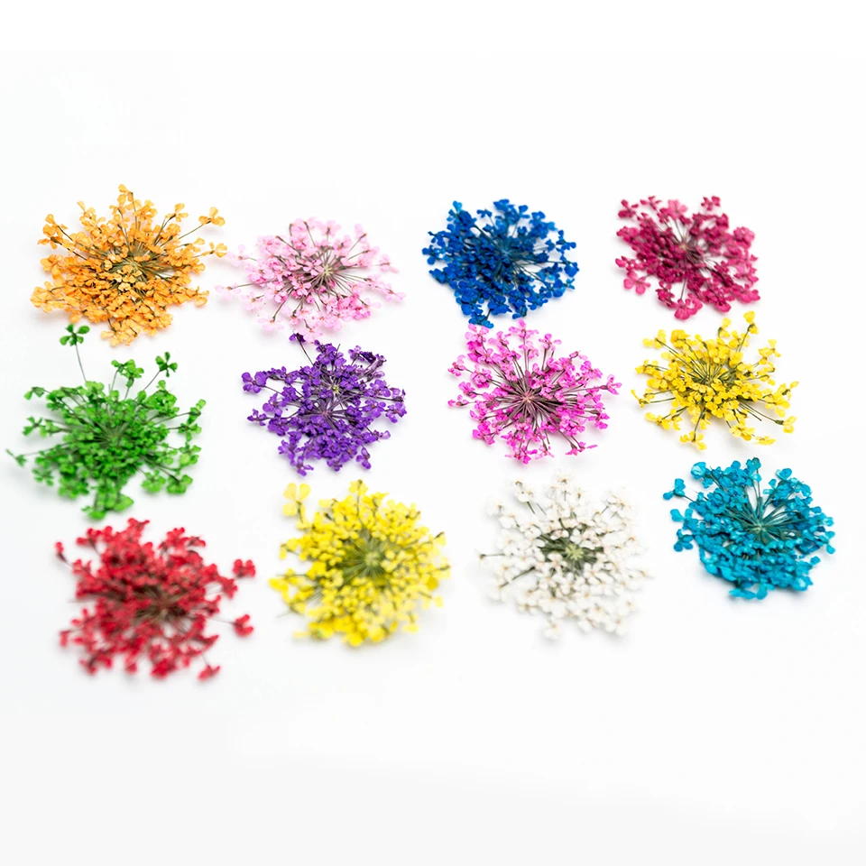 

12 Colors Dried Flowers Nail Art Stickers Dry Flower Decoration With Case Nail Art Flowers Nailart Decoration 1 Bottle MJZ2078