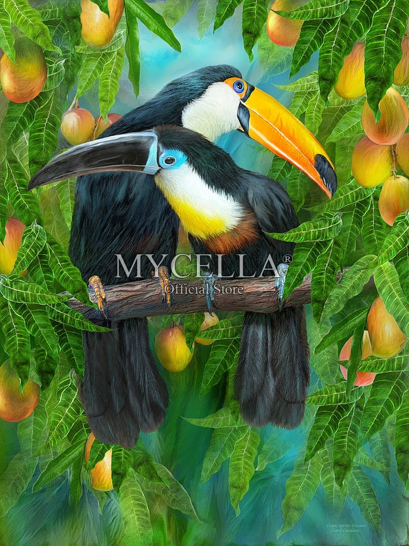 Toucans вышивка бисером, животное наборы для вышивки крестом узор 5D DIY Алмазная Картина вышитая картина Полный Круглый горный хрусталь