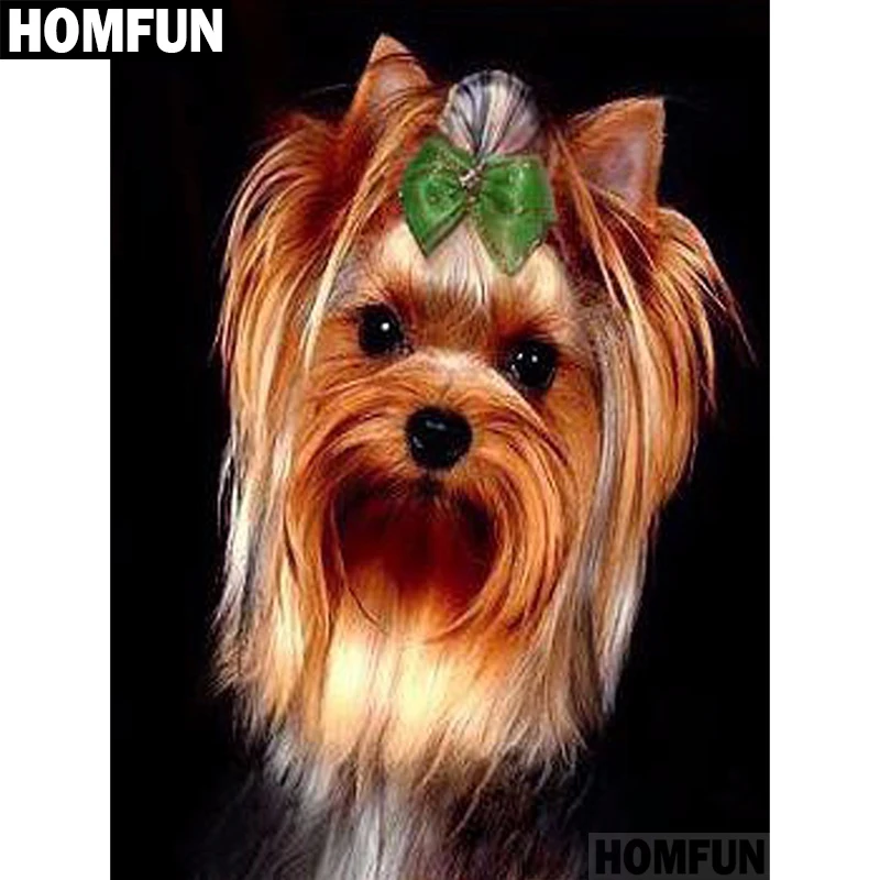 Алмазная живопись HOMFUN A00563 полноразмерная/круглая вышивка крестиком 5D сделай сам