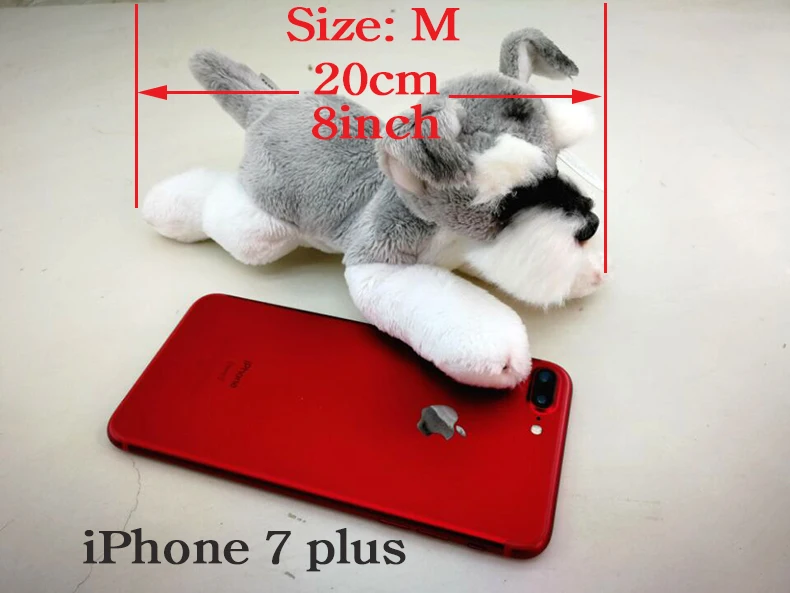 size-M