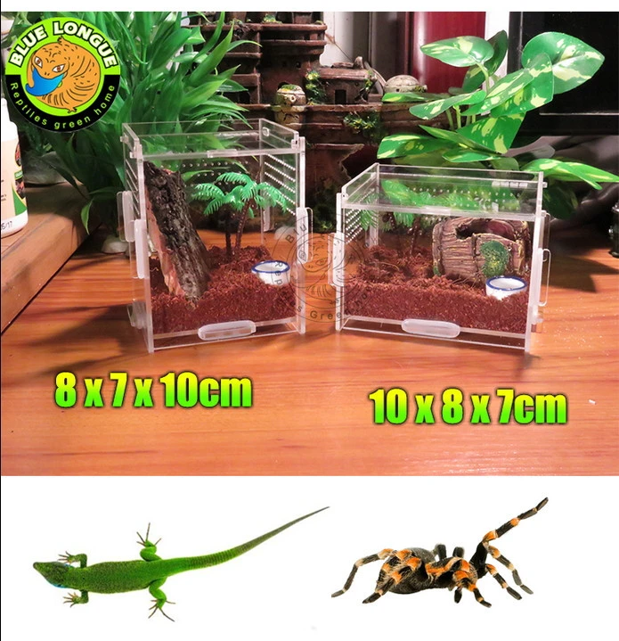 small reptile cage